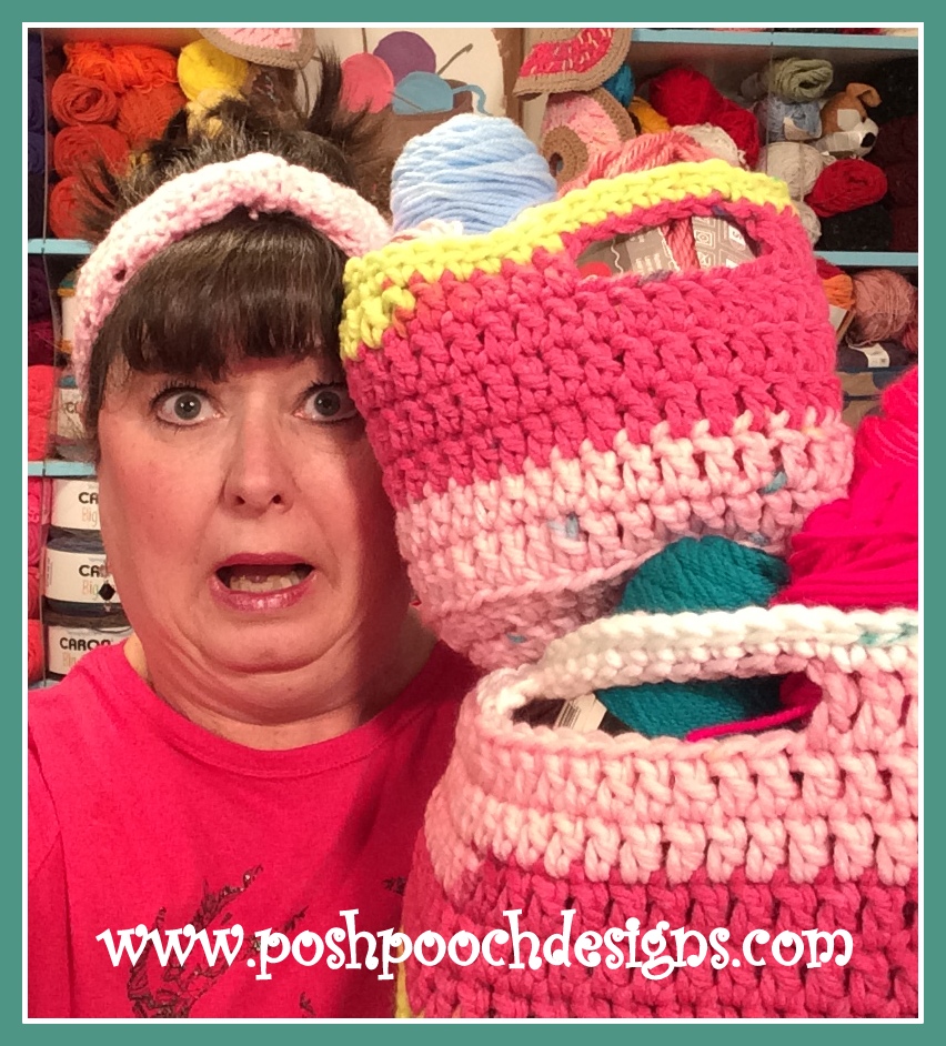 Posh Pooch Designs : Spunky Chunky Baskets With Caron Chunky Cakes Yarn